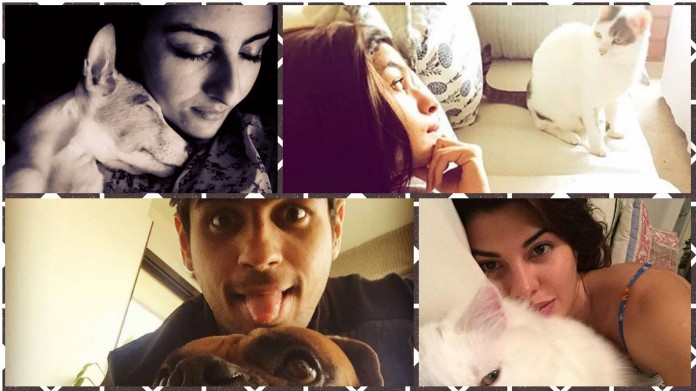 Selfies: Bollywood Celebrities With Their Cute Pets