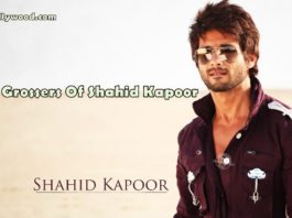 Shahid Kapoor's Highest Grossing Movies: Kabir Singh Tops The List