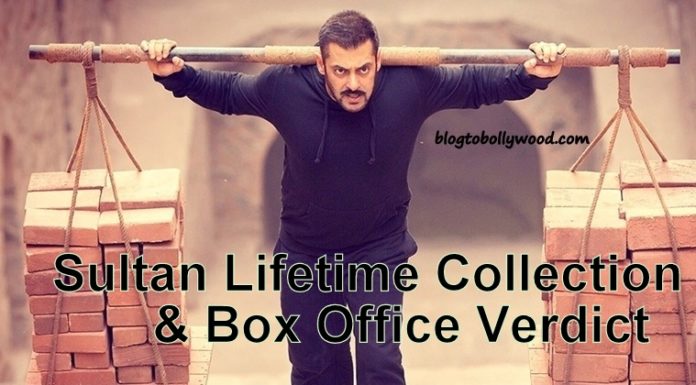 Sultan Total Lifetime Collection And Box Office Verdict (Hit Or Flop)