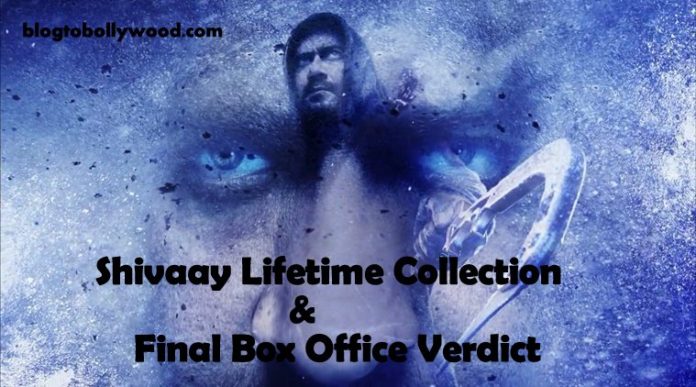 Shivaay Total Lifetime Collection And Box Office Verdict (Hit Or Flop)