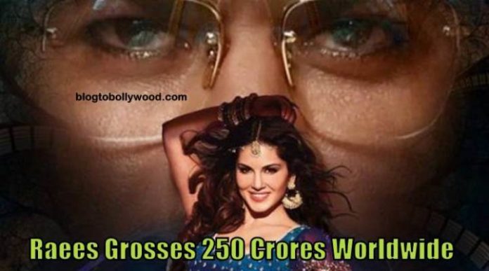 Raees Worldwide Collections: Shah Rukh Khan's Film Grosses 250 Crores