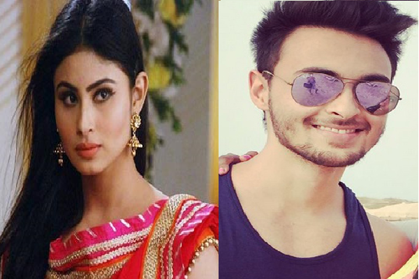 Mouni Roy to star opposite Salman's brother-in-law Aayush!
