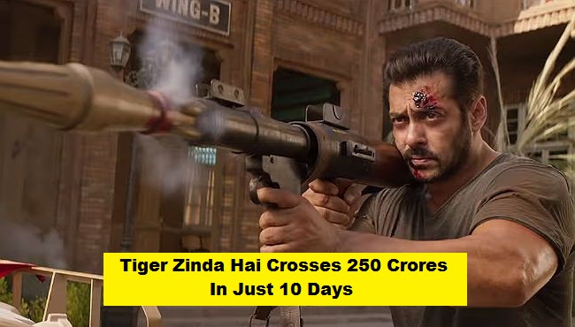 Tiger Zinda Hai 10th Day Collection: Crosses 250 Crores In India