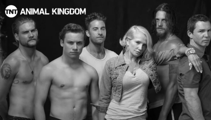 Animal Kingdom Season 6 Premiere Date on TNT & Everything We Know