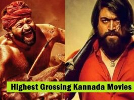 Top 10 Highest Grossing Kannada Movies: KGF 2, Kantara and More