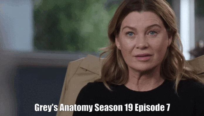 Grey's Anatomy Season 19 Episode 7 Release Date & Time: A Long Hiatus
