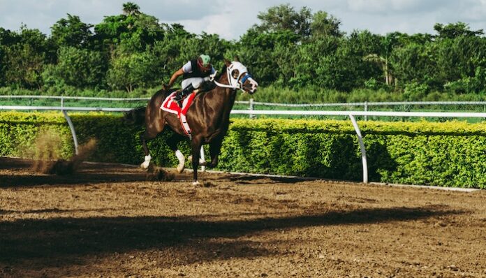 What To Consider When Investing In Horse Racing